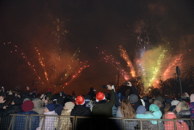 Новогодняя ночь в Рязанской области обошлась без происшествий